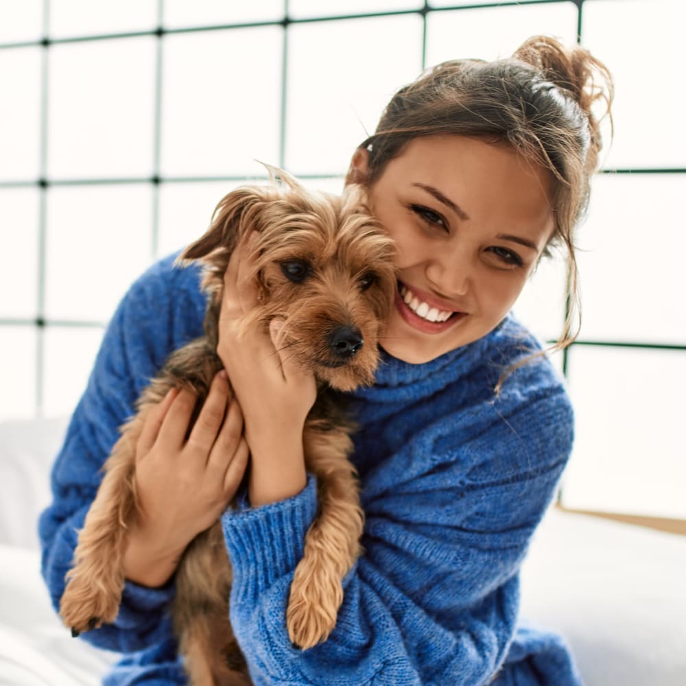 Pet Laser Therapy, Blue Mountain Veterinary Services